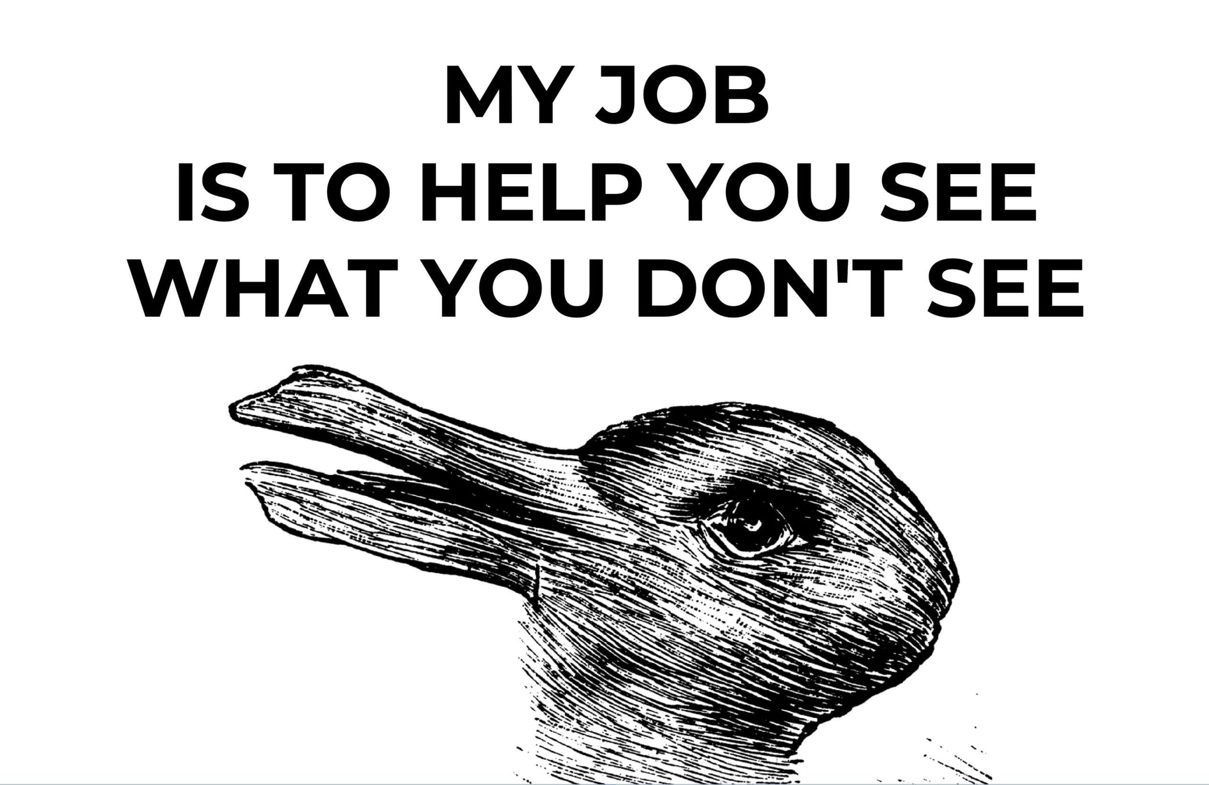 MY JOB IS TO HELP YOU SEE WHAT YOU DON'T SEE