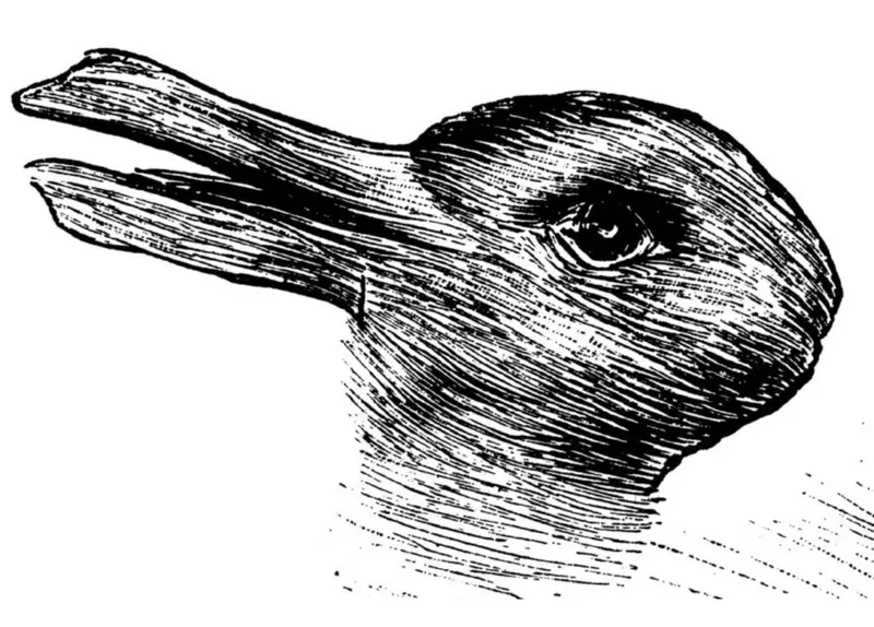 The classic duck-rabbit illusion: one drawing that reads as either a duck or a rabbit